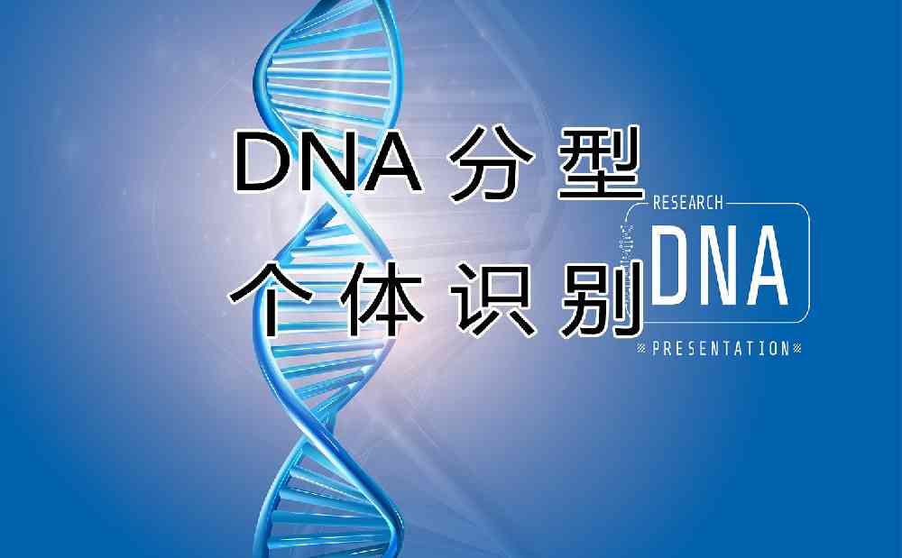 DNA个体识别与DNA分型：解密科技带来的准确性和隐私挑战